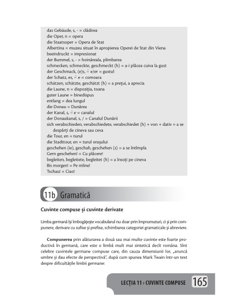 Limba germană. Simplu şi eficient