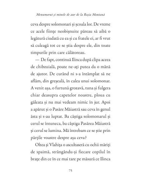 Istoria povestită copiilor. Volumul 3: Menumorut şi minele de aur de la Roşia Montană