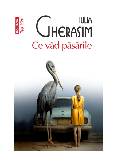 Ce văd păsările