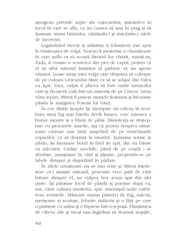 Coborârea în cetate