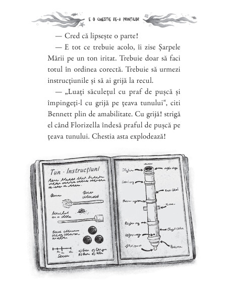 Pachet promoţional trilogia Regulile Prinţesei
