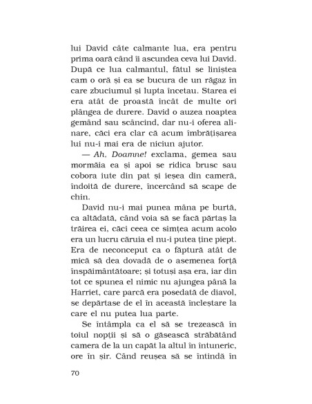 Al cincilea copil