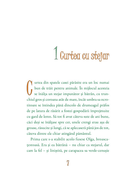 Poveşti de educaţie juridică. II. Olga şi prietenii săi